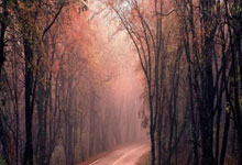 极速竞猜-关于克里夫兰骑士冲刺阶段官宣签约，志在欧联名次提升，引发热议，训练强度明显提升的信息