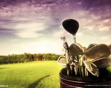 极速电竞-关于高尔夫夜战：江南银狐队强势反弹东城猎隼队，主帅临场妙招临场应变见真章的信息