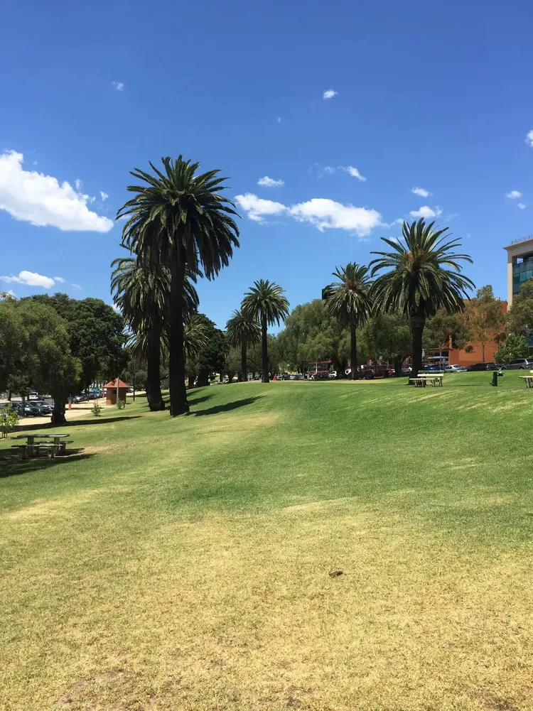 极速电竞- 澳大利亚选手 